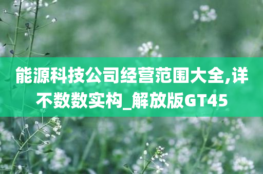 能源科技公司经营范围大全,详不数数实构_解放版GT45