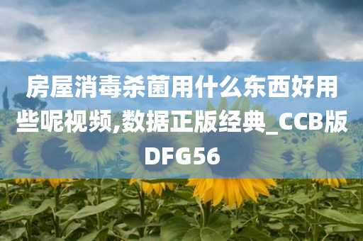 房屋消毒杀菌用什么东西好用些呢视频,数据正版经典_CCB版DFG56