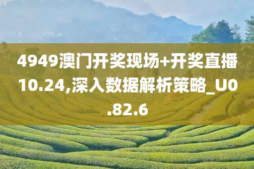 4949澳门开奖现场+开奖直播10.24,深入数据解析策略_U0.82.6