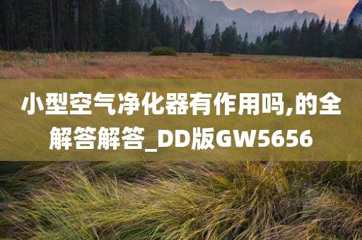 小型空气净化器有作用吗,的全解答解答_DD版GW5656