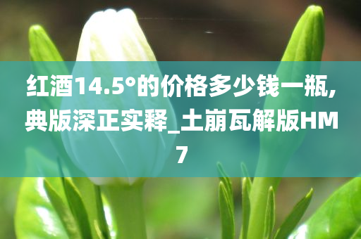 红酒14.5°的价格多少钱一瓶,典版深正实释_土崩瓦解版HM7