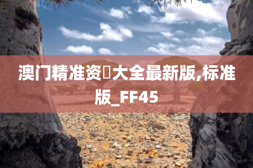 澳门精准资枓大全最新版,标准版_FF45