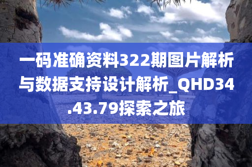 一码准确资料322期图片解析与数据支持设计解析_QHD34.43.79探索之旅