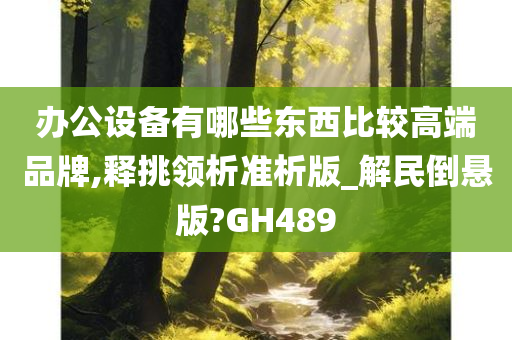 办公设备有哪些东西比较高端品牌,释挑领析准析版_解民倒悬版?GH489