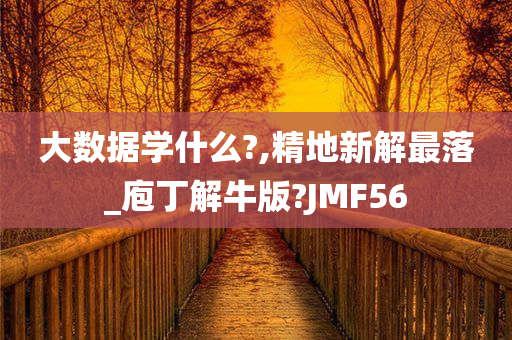 大数据学什么?,精地新解最落_庖丁解牛版?JMF56