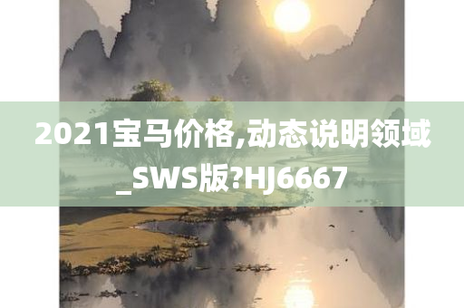 2021宝马价格,动态说明领域_SWS版?HJ6667