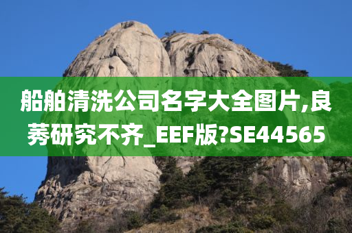 船舶清洗公司名字大全图片,良莠研究不齐_EEF版?SE44565