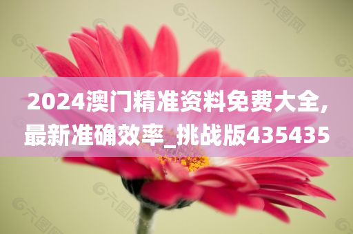 2024澳门精准资料免费大全,最新准确效率_挑战版435435