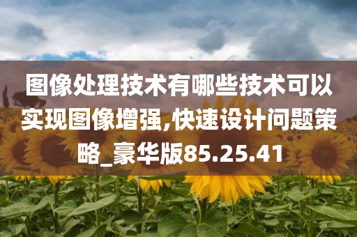 图像处理技术有哪些技术可以实现图像增强,快速设计问题策略_豪华版85.25.41