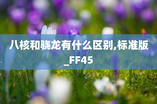 八核和骁龙有什么区别,标准版_FF45