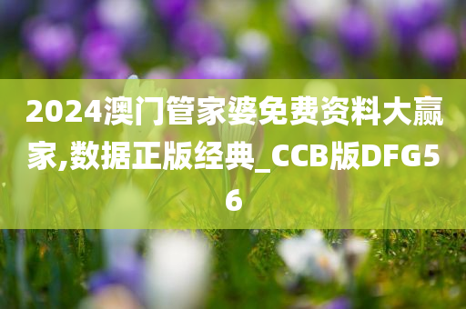 2024澳门管家婆免费资料大赢家,数据正版经典_CCB版DFG56