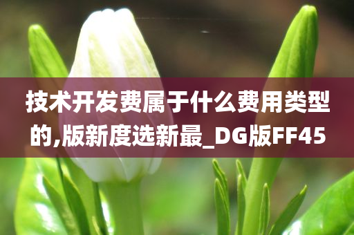 技术开发费属于什么费用类型的,版新度选新最_DG版FF45