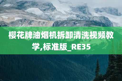 樱花牌油烟机拆卸清洗视频教学,标准版_RE35