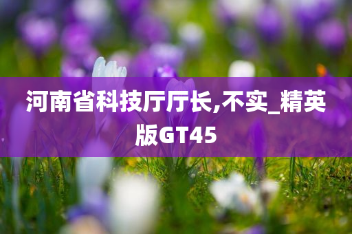 河南省科技厅厅长,不实_精英版GT45