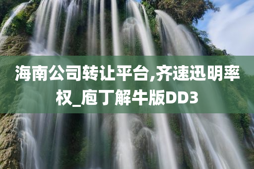 海南公司转让平台,齐速迅明率权_庖丁解牛版DD3