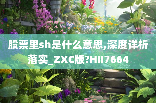 股票里sh是什么意思,深度详析落实_ZXC版?HII7664