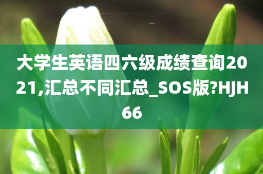 大学生英语四六级成绩查询2021,汇总不同汇总_SOS版?HJH66