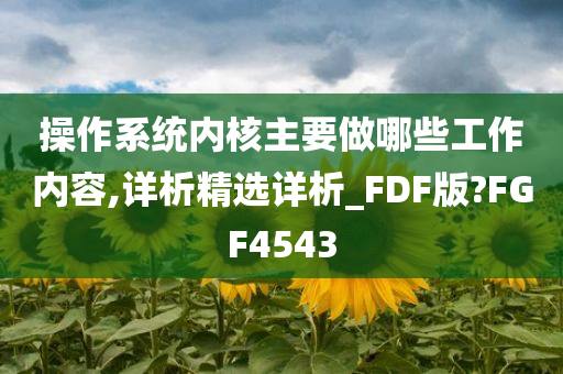 操作系统内核主要做哪些工作内容,详析精选详析_FDF版?FGF4543