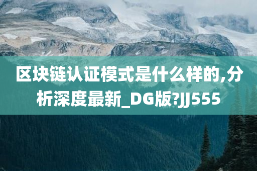 区块链认证模式是什么样的,分析深度最新_DG版?JJ555