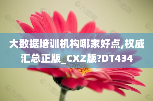 大数据培训机构哪家好点,权威汇总正版_CXZ版?DT434