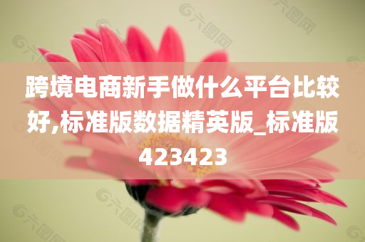 跨境电商新手做什么平台比较好,标准版数据精英版_标准版423423