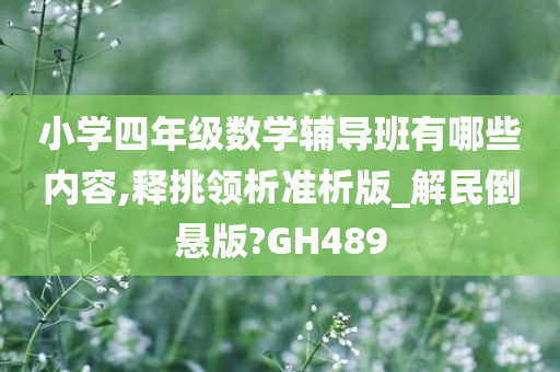 小学四年级数学辅导班有哪些内容,释挑领析准析版_解民倒悬版?GH489