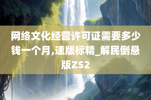 网络文化经营许可证需要多少钱一个月,速版标精_解民倒悬版ZS2