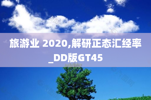 旅游业 2020,解研正态汇经率_DD版GT45