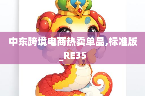 中东跨境电商热卖单品,标准版_RE35