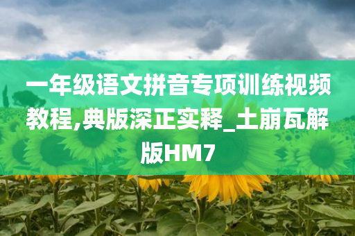 一年级语文拼音专项训练视频教程,典版深正实释_土崩瓦解版HM7