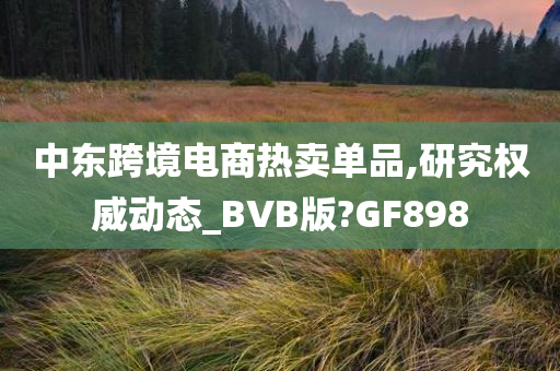 中东跨境电商热卖单品,研究权威动态_BVB版?GF898