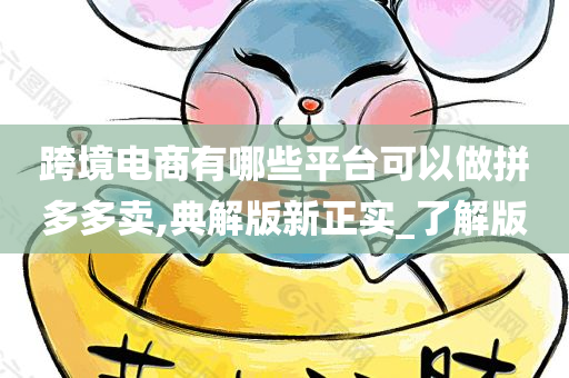 跨境电商有哪些平台可以做拼多多卖,典解版新正实_了解版