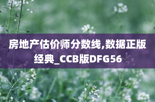 房地产估价师分数线,数据正版经典_CCB版DFG56