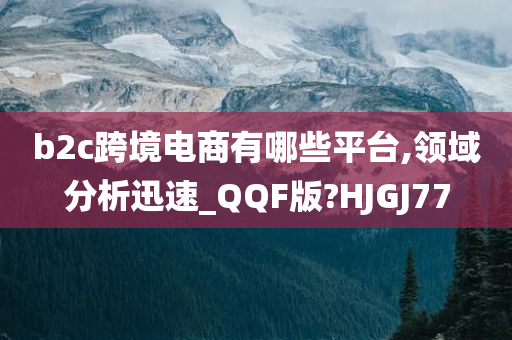 b2c跨境电商有哪些平台,领域分析迅速_QQF版?HJGJ77