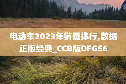 电动车2023年销量排行,数据正版经典_CCB版DFG56