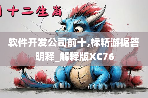 软件开发公司前十,标精游据答明释_解释版XC76