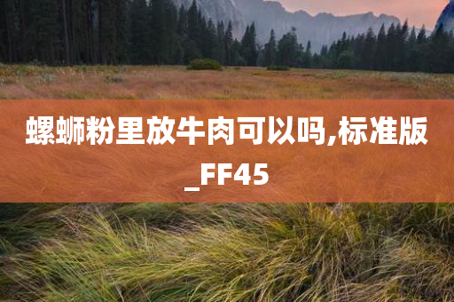 螺蛳粉里放牛肉可以吗,标准版_FF45