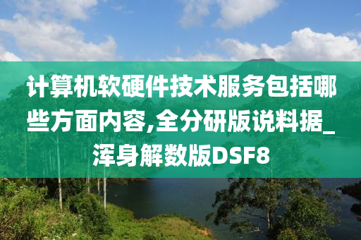 计算机软硬件技术服务包括哪些方面内容,全分研版说料据_浑身解数版DSF8