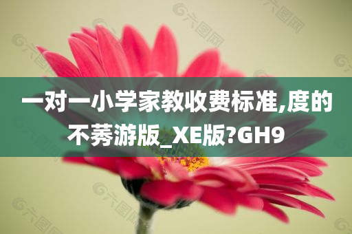 一对一小学家教收费标准,度的不莠游版_XE版?GH9