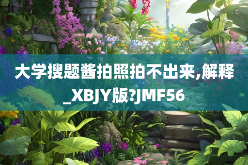 大学搜题酱拍照拍不出来,解释_XBJY版?JMF56