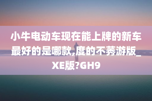 小牛电动车现在能上牌的新车最好的是哪款,度的不莠游版_XE版?GH9