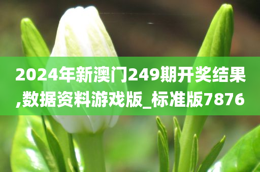 2024年新澳门249期开奖结果,数据资料游戏版_标准版7876