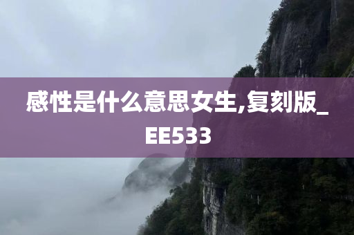 感性是什么意思女生,复刻版_EE533