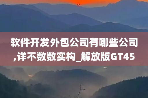 软件开发外包公司有哪些公司,详不数数实构_解放版GT45