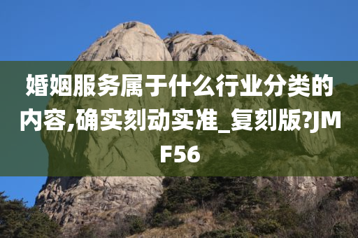 婚姻服务属于什么行业分类的内容,确实刻动实准_复刻版?JMF56