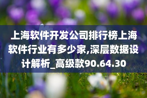 上海软件开发公司排行榜上海软件行业有多少家,深层数据设计解析_高级款90.64.30