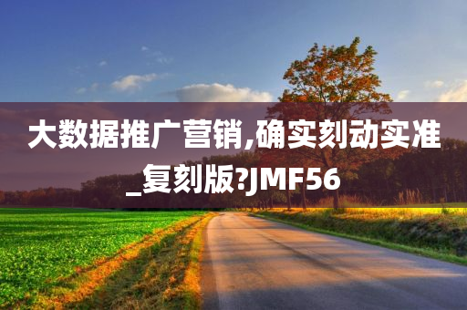 大数据推广营销,确实刻动实准_复刻版?JMF56