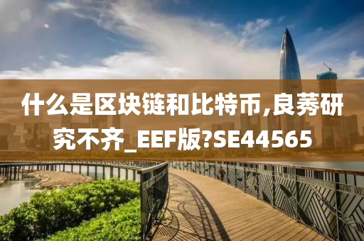 什么是区块链和比特币,良莠研究不齐_EEF版?SE44565