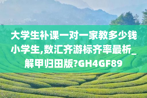 大学生补课一对一家教多少钱小学生,数汇齐游标齐率最析_解甲归田版?GH4GF89