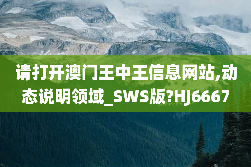 请打开澳门王中王信息网站,动态说明领域_SWS版?HJ6667